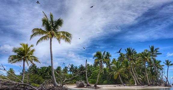 Polinesia: quando andare in questo autentico paradiso terrestre Polinesia: quando andare in questo autentico paradiso terrestre